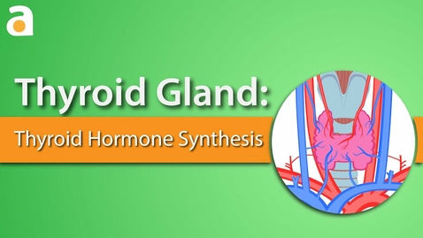 Thumbnail for entry Thyroid Gland: Thyroid Hormone Synthesis