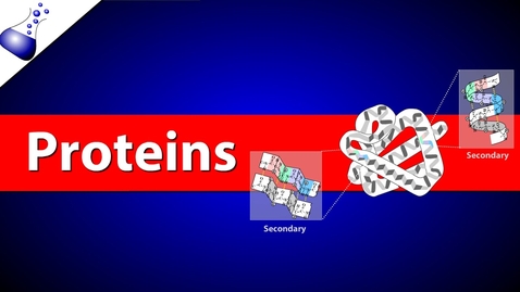 Thumbnail for Proteins