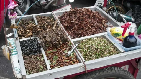 Thumbnail for Everything you Need to Know About Eating Insects