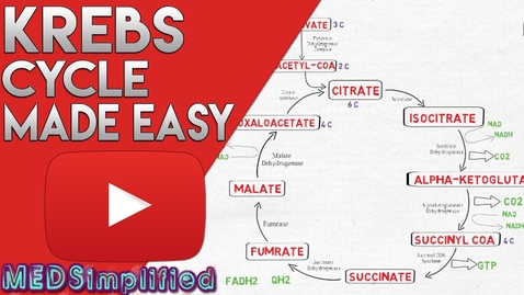Thumbnail for KREBS CYCLE MADE SIMPLE - TCA Cycle Carbohydrate Metabolism Made Easy