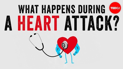 Thumbnail for What happens during a heart attack? - Krishna Sudhir