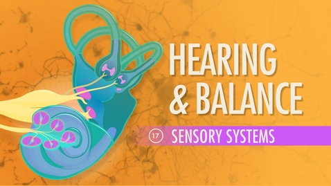 Thumbnail for Hearing &amp; Balance: Crash Course Anatomy &amp; Physiology #17