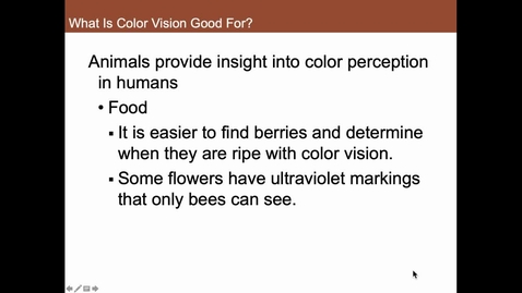 Thumbnail for entry What is Color Vision Good For