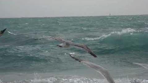 Thumbnail for Progressive Muscle Relaxation