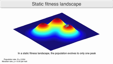 Thumbnail for entry Using Fitness Landscapes to Visualize Evolution in Action