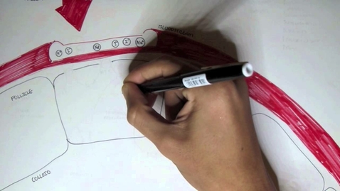 Thumbnail for Thyroid Gland - Thyroid Hormones