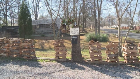 Thumbnail for Wet Wood is a Waste: How to Test Your Firewood with a Moisture Meter