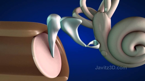 Thumbnail for How The Ear Works