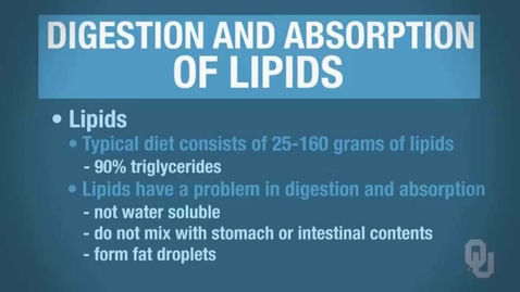 Thumbnail for entry Human Physiology - Digestion and Absorption of Lipids