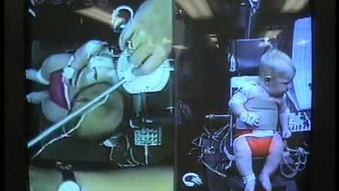 Thumbnail for Motor Development - Baby Body Sense (Esther Thelen)