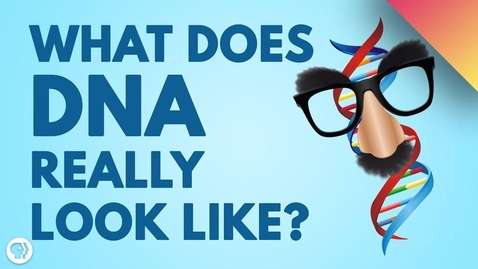 Thumbnail for DNA Doesn’t Look Like What You Think!