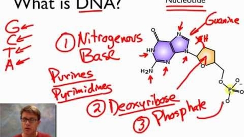 Thumbnail for entry What is DNA?