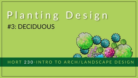 Thumbnail for #3 - Deciduous (pencil)