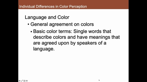 Thumbnail for Individual Differences in Color Perception