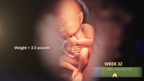 Thumbnail for Your Growing Baby's Changes in the Third Trimester