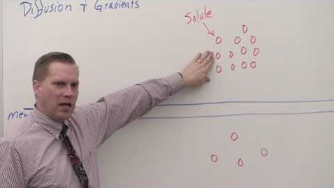 Thumbnail for BIO 180 Lecture Diffusion and Osmosis