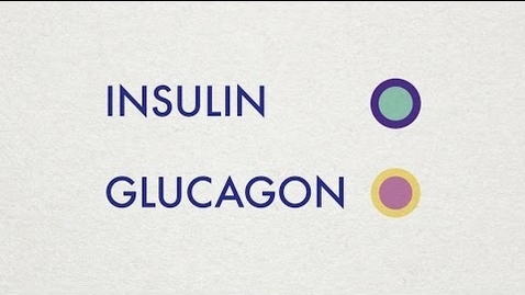 Thumbnail for entry Insulin and Glucagon - Simple Animation