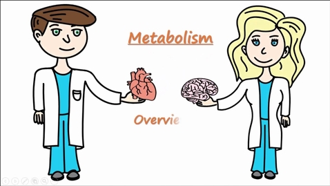 Thumbnail for Metabolism - Part 1: Overview of Cellular Respiration