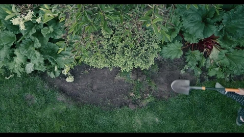 Thumbnail for Week9-Integrals