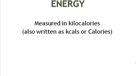 Thumbnail for Calculating Calories Tutorial