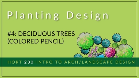 Thumbnail for #4 - Deciduous Trees (Colored Pencil)