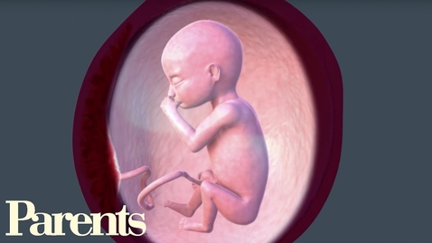 Thumbnail for Second Trimester Begins: Weeks 13-16 of Pregnancy