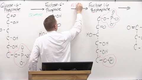 Thumbnail for Bio180 Glycolysis