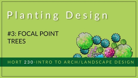 Thumbnail for #3 - Focal Point Trees