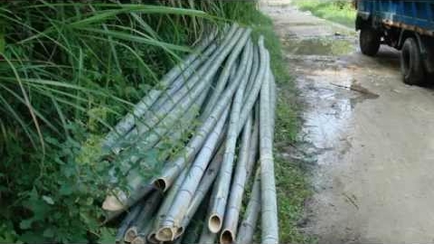 Thumbnail for How Bamboo Flooring is made