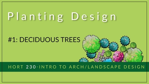 Thumbnail for #1 - Deciduous Trees