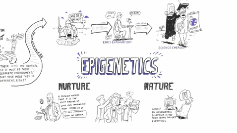 Thumbnail for Epigenetics: Nature vs nurture