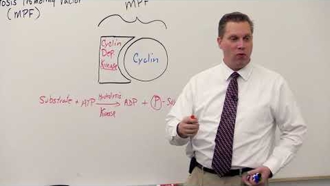 Thumbnail for Bio180 Lecture Cancer