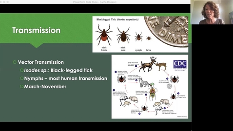 Thumbnail for entry Lyme Disease