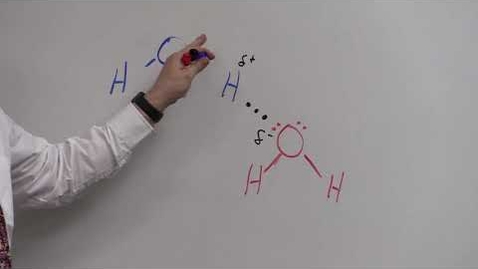 Thumbnail for BIO 180   PH And Buffers