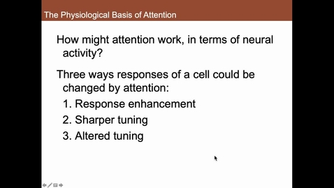 Thumbnail for entry The Physiological Basis of Attention