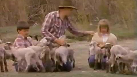 Thumbnail for Feed My Lambs (1990)