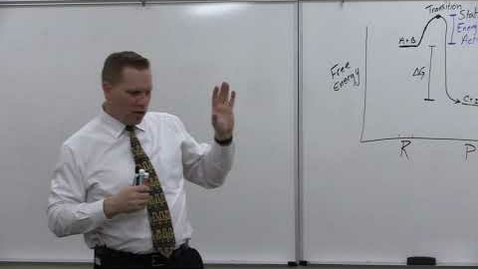 Thumbnail for Bio180 Enzymes