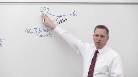 Thumbnail for BIO 180 Lecture Calvin Cycle