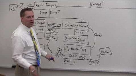 Thumbnail for Protein Mediated Transport