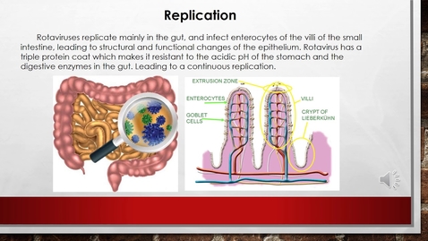 Thumbnail for entry Rotavirus Presentation Project