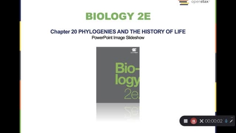 Thumbnail for Phylogenies and Cladistics
