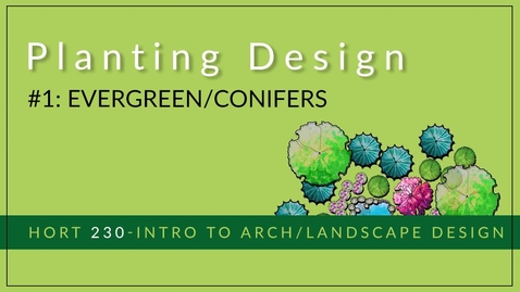 Thumbnail for #1 - Evergreen_Conifers (pencil)