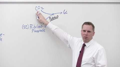 Thumbnail for BIO 180 Lecture Calvin Cycle