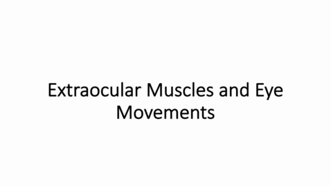Thumbnail for Extraocular Muscles and Eye Movements