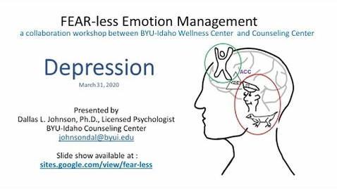 Thumbnail for FEAR less Emotion Management Workshop 200331 Focus on Depression