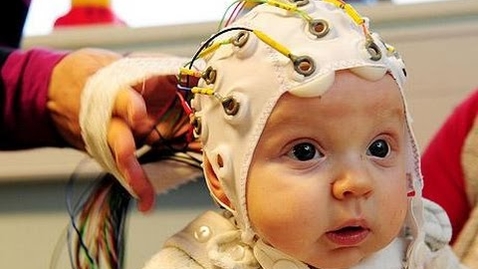 Thumbnail for The Secret Life of The Baby's Brain