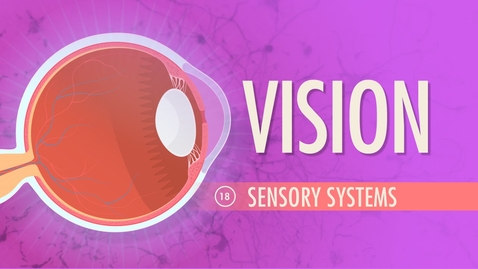 Thumbnail for Vision: Crash Course Anatomy &amp; Physiology #18