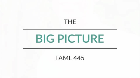 Thumbnail for FAML 445 - &quot;The Big Picture&quot;