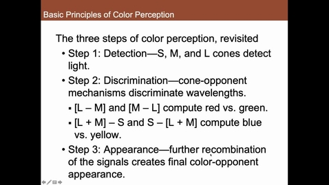 Thumbnail for entry Steps of Color Processing Summary