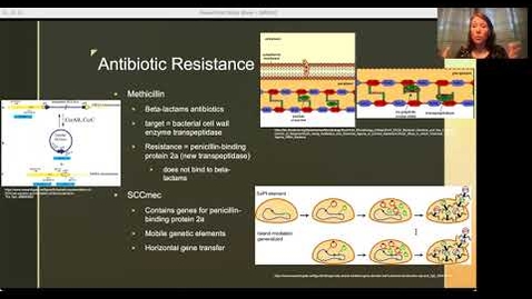 Thumbnail for MRSA Presentation
